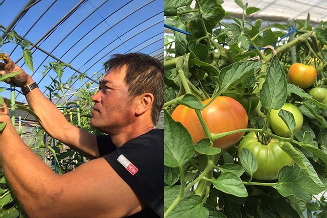 日本野菜ソムリエ協会 本田農園