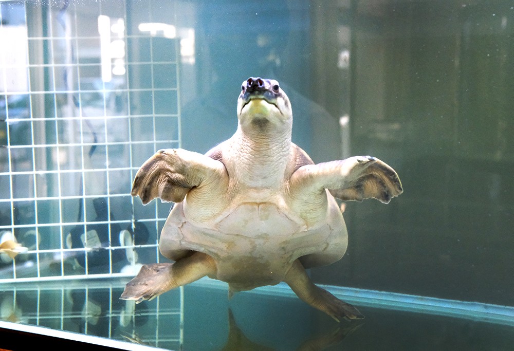 部室に90の水槽・100種類の生き物 香川・多度津高校「ミニ水族館」に潜入