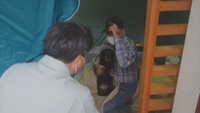 防災専門家に聞く どうする?「ペットの避難」
