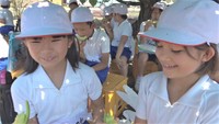 甘いメロンを何度もおかわり! 小学生がメロンの収穫体験 香川・小豆島町