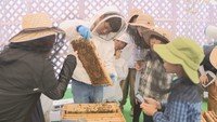 8月3日は「はちみつの日」 子どもたちが養蜂やミツバチの生態を学ぶ 岡山市