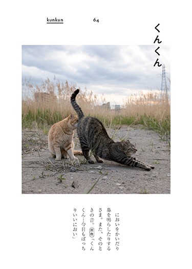 「ぎおんご ぎたいご にゃんこ」より(沖昌之撮影、青春出版社提供)