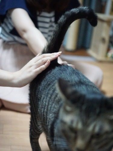 「2人でおしりを撫でないで、気持ちよすぎだよ~」