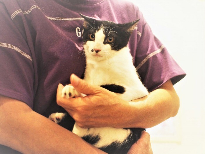 発見者で預かり主の古山さんに抱かれて