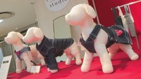 余ったデニムでペット服 倉敷市児島のデニムメーカーの新ブランドが期間限定出店 岡山市