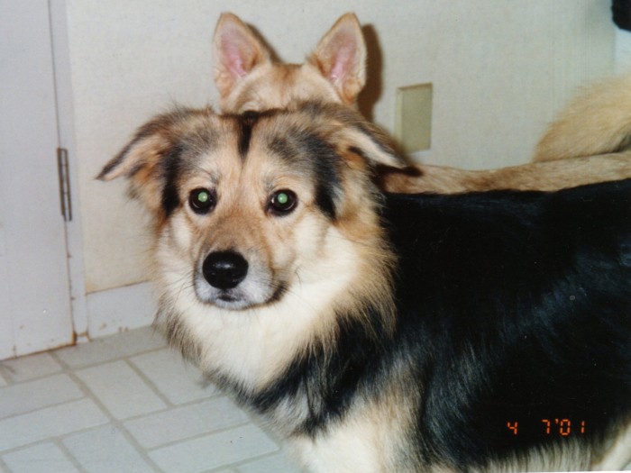 ひょうきんなルパン