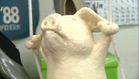 商店街でかくれんぼ スタンプラリー「動物GO!」 香川・坂出市