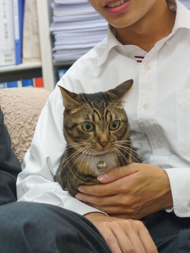 「今は私も家族を守ってるニャン。家族だけでなく、諒大君の友だちがしょげていたら、励ましてあげるの」