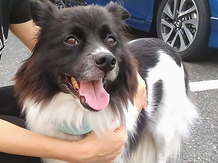 外も歩けるようになったよ