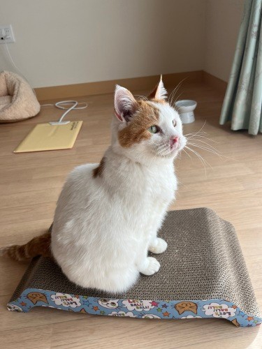 お母さんはもちろん、南さん達スタッフの愛に包まれてホームで暮らすしろくん(南さん提供)