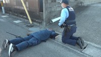 小豆島で「大型トカゲ」再び目撃も側溝に… 前回の目撃場所から南に約90m 香川