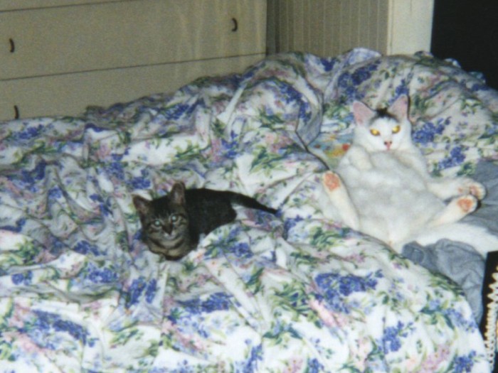 育てのママのクリーム(右)と