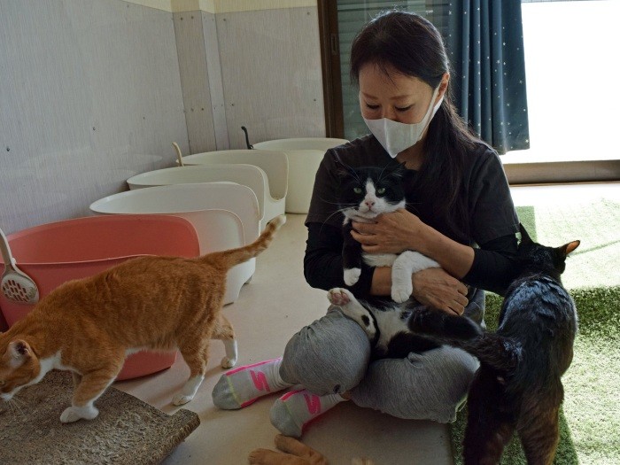 本田さんが来ると、周りにはすぐに猫たちが集まってくる