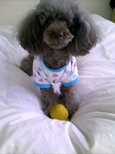 4歳のれなちゃん。ボール遊びが大好きで元気いっぱいのころ(圭さん提供)