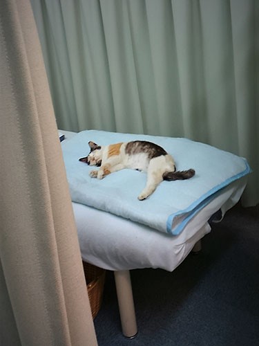 初めて店にひとりで泊まらせた寒い夜。ベッドの上に身を投げ出し、昏々と眠った(冨森さん提供)