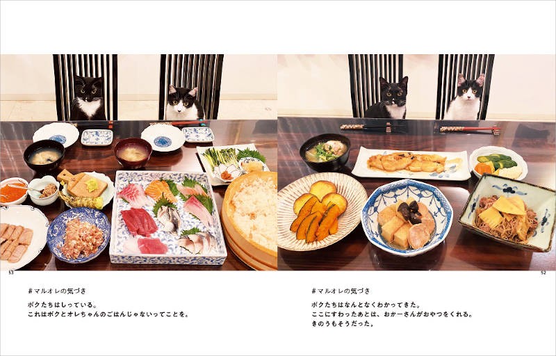 「マルオレ食堂」と題した章より。豪華な手料理の数々もすばらしい! ちなみにマルオレちゃんは人のごはんには一切手を出さないのだとか。「マルとオレオと藤あや子」(世界文化社)より