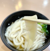 うどん発祥の地で「アタリ」のうどん、見つけた! 道の駅・滝宮で「みみ入り」手打ちうどんを4月10日から販売 香川
