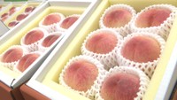 甘い!生産者から直接仕入れ、完熟した桃を販売 農マル園芸の「おかやま桃祭り」始まる 総社市