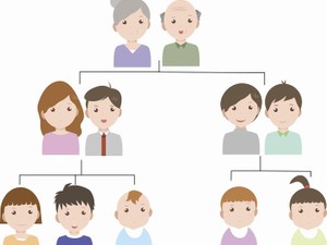 共同相続人と法定相続人の違いは? 単独相続・共有の意味や遺産分割時の注意点を解説