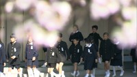 豪雨で水に浸かった桜、満開で児童を出迎え 被災の平島小で始業式 岡山市