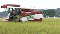 災害に負けず育った強い米 被災農家を対象に稲刈り代行 岡山