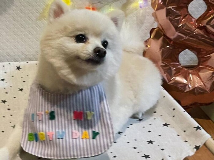 ヴァニラ