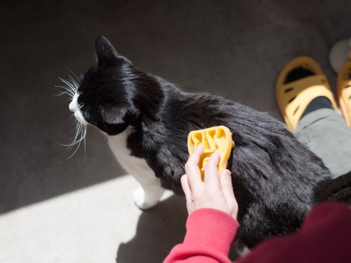 「白髪が出なくていいねって?」(小林写函撮影)