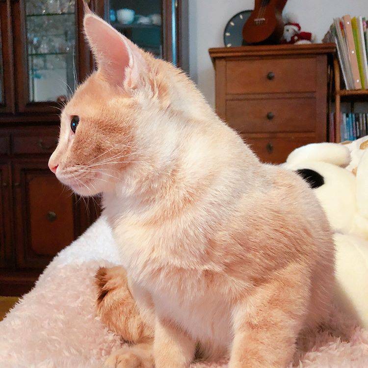 横顔も可愛いでしょ