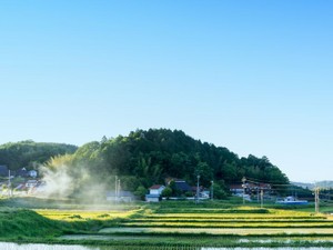 亡き父親名義の家屋と認知症の母親名義の土地 子が売却する方法とは