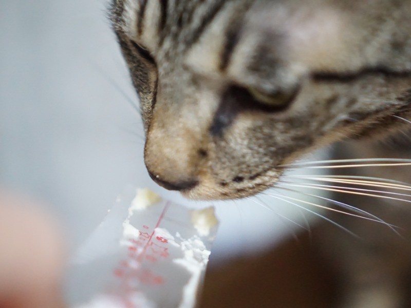 いちばん美味しいのはセロファンの裏