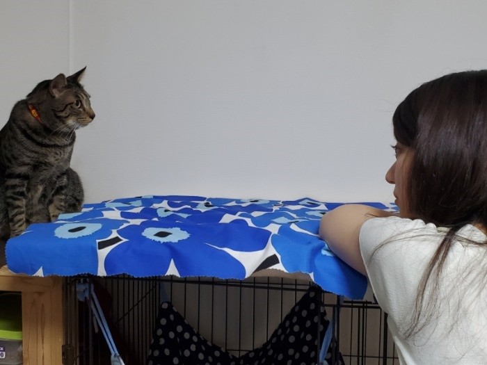 「もう1人の君の名は?」「りな」