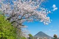 「讃岐富士 写真で一句 さぁ応募」飯野山の俳句コンテスト 7月15日から募集開始 香川・丸亀市