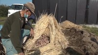 残るは島で1軒のみ…昔ながらの保存法「いもつぼ」を伝えたい 香川・小豆島