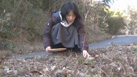 【特集】リアルに「道草を食う」女性 身近な植物の魅力を伝える活動 岡山