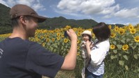 青空の下に黄色いヒマワリ畑 夏の風景広がる 岡山