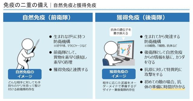 自然免疫と獲得免疫