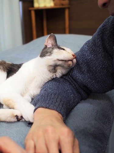 語らい合うふたり