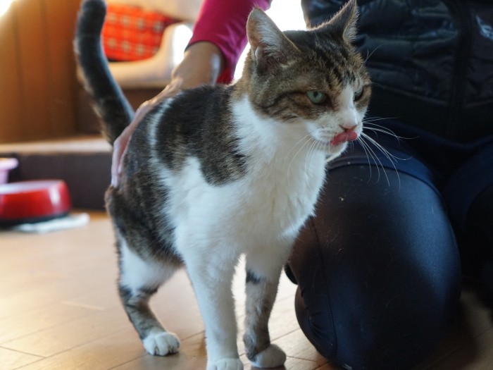 2番目に長寿のシーナは17歳