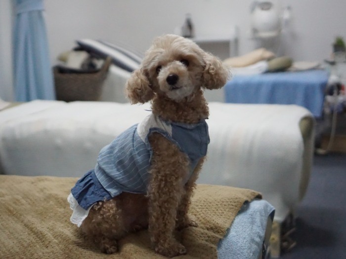 「またのお越しをお待ちしています」