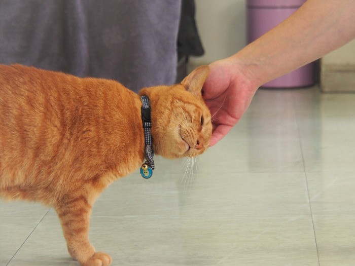 「また来てね」と、お見送りどきのふれあい