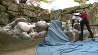 秋の観光シーズンに備えて岡山城で330人が清掃活動 岡山市