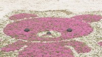 ピンクのボディにつぶらな瞳 カフェ庭園で「芝桜アート」 25万株が咲き誇る 高松市