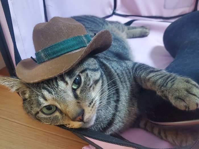 帽子をかぶってキメたはっぴー