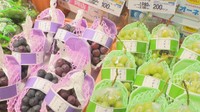 最大20%!岡山市産の野菜や魚を食べてポイントをもらおう 市の特別キャンペーンがスタート