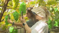 岡山県がタイの旅行会社を招いて岡山の魅力をPR 万博や瀬戸芸で旅行客増加を見据え
