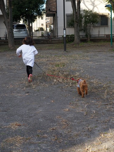 「ポッキーおうちに帰ろう」