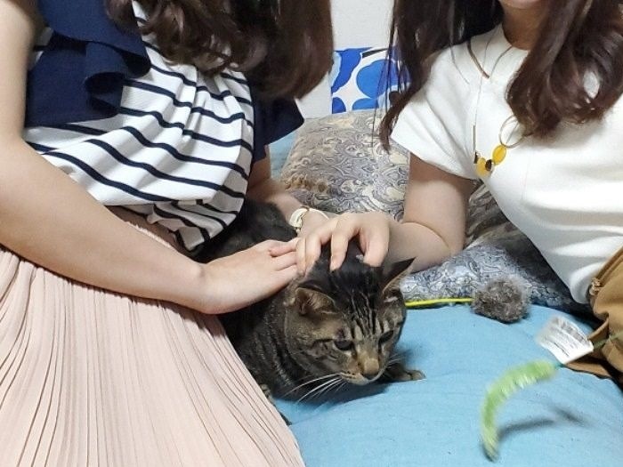 2人に撫でられドキドキ?