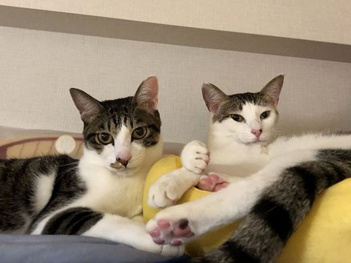 ちょっとおすまししてみたよ