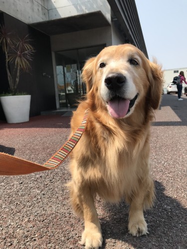 動物病院も大好き