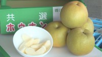 香川・観音寺市のブランド梨「ホウナンの梨」の出荷始まる シャキシャキした食感が特徴